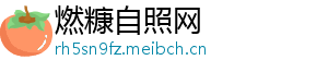 燃糠自照网